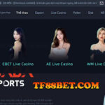 Casino TF88 luôn hấp dẫn người chơi cá cược