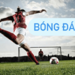 Tìm hiểu về bóng đá ảo TF88bet - Hướng dẫn cho người mới bắt đầu