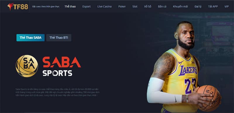 Tìm hiểu về cá cược bóng rổ TF88bet: Những điều cần biết trước khi tham gia đặt cược