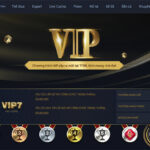 Tìm hiểu về VIP TF88bet - Đặc quyền hấp dẫn cho thành viên cao cấp của nhà cái TF88bet